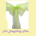 Sage Green Organza Wedding Chair Sash Ribbon Bow Decorations x 10 For Hire
