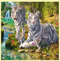 White Tiger Clan Animal Themed Magnum Wooden Jigsaw Puzzle 750 Pieces