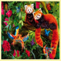 Red Pandas Animal Themed Mega Wooden Jigsaw Puzzle 500 Pieces