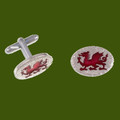Welsh Dragon Red Enamel Textured Oval Mens Stylish Pewter Cufflinks