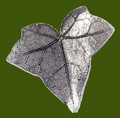 Ivy Leaf Detailed Antiqued Stylish Pewter Brooch