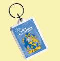 O'Shea Coat of Arms Irish Family Name Acryllic Key Ring Set of 3