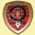Alexander Clan Crest Tartan 7 x 8 Woodcarver Wooden Wall Plaque 