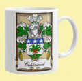 Your Bookplate Coat of Arms Surname Double Sided Ceramic Mugs Set of 2