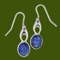 Celtic Bird Opal Glass Stone Stylish Pewter Sheppard Hook Earrings