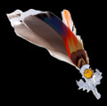 Mallard Feather Plume Thistle Flower Orange Glass Stone Chrome Plated Brooch