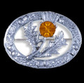 Thistle Flower Oval Orange Glass Stone Chrome Plated Brooch