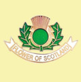 Flower Of Scotland Thistle Enamel Badge Lapel Pin Set x 3