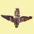 Parachute Regiment Royal Air Force British Military Nickel Badge Lapel Pin Set x 3