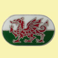 Welsh Dragon Oval Enamel Badge Lapel Pin Set x 3