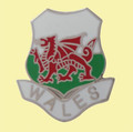 Wales Welsh Dragon Enamel Badge Shield Lapel Pin Set x 3