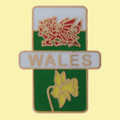 Wales Welsh Dragon Daffodil Vertical Flags Enamel Badge Lapel Pin Set x 3