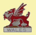 Wales Welsh Dragon Mythical Figure Enamel Badge Lapel Pin Set x 3