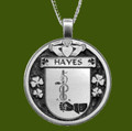 Hayes Irish Coat Of Arms Claddagh Round Pewter Family Crest Pendant