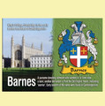 Barnes Coat of Arms English Family Name Fridge Magnets Set of 10