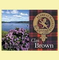 Brown Clan Badge Scottish Family Name Fridge Magnets Set of 10