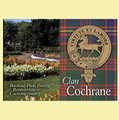 Cochrane Clan Badge Scottish Family Name Fridge Magnets Set of 10