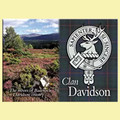 Davidson Clan Badge Scottish Family Name Fridge Magnets Set of 10