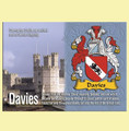 Davies Coat of Arms English Family Name Fridge Magnets Set of 10