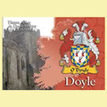 Doyle Coat of Arms Irish Family Name Fridge Magnets Set of 10