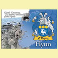 Flynn Coat of Arms Irish Family Name Fridge Magnets Set of 10
