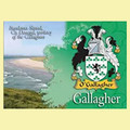 Gallagher Coat of Arms Irish Family Name Fridge Magnets Set of 10