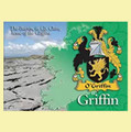 Griffin Coat of Arms Irish Family Name Fridge Magnets Set of 10