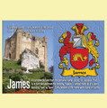 James Coat of Arms English Family Name Fridge Magnets Set of 10