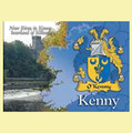 Kenny Coat of Arms Irish Family Name Fridge Magnets Set of 10