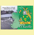 O'Keeffe Coat of Arms Irish Family Name Fridge Magnets Set of 10