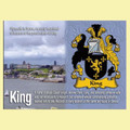 King Coat of Arms English Family Name Fridge Magnets Set of 10