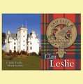 Leslie Clan Badge Scottish Family Name Fridge Magnets Set of 10