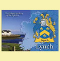 Lynch Coat of Arms Irish Family Name Fridge Magnets Set of 10
