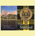 MacLeod Of Lewis Clan Badge Scottish Family Name Fridge Magnets Set of 10