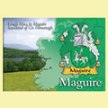 Maguire Coat of Arms Irish Family Name Fridge Magnets Set of 10