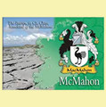 McMahon Coat of Arms Irish Family Name Fridge Magnets Set of 10