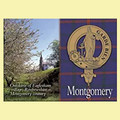 Montgomery Clan Badge Scottish Family Name Fridge Magnets Set of 10