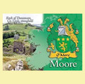 Moore Coat of Arms Irish Family Name Fridge Magnets Set of 10