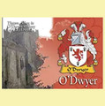 O'Dwyer Coat of Arms Irish Family Name Fridge Magnets Set of 10
