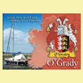 O'Grady Coat of Arms Irish Family Name Fridge Magnets Set of 10