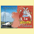 O'Halloran Coat of Arms Irish Family Name Fridge Magnets Set of 10