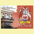 O'Neill Coat of Arms Irish Family Name Fridge Magnets Set of 10