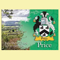 Price Coat of Arms Irish Family Name Fridge Magnets Set of 10