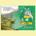 Quinn Coat of Arms Irish Family Name Fridge Magnets Set of 10
