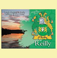 Reilly Coat of Arms Irish Family Name Fridge Magnets Set of 10