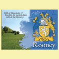 Rooney Coat of Arms Irish Family Name Fridge Magnets Set of 10