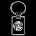 Cassidy Irish Coat Of Arms Stainless Steel Silver Family Crest Keyring