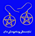 Open Pentagram Design Round Sheppard Hook Bronze Earrings