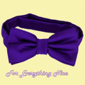 Cadbury Amethyst Purple Formal Groomsmen Groom Wedding Mens Neck Bow Tie