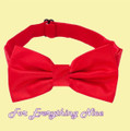 Cherry Red Formal Groomsmen Groom Wedding Mens Neck Bow Tie